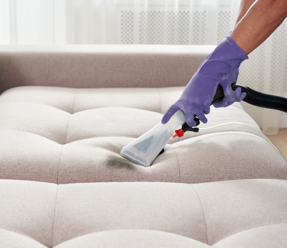 Nettoyage par Injection-Extraction — Lavandière en Luberon